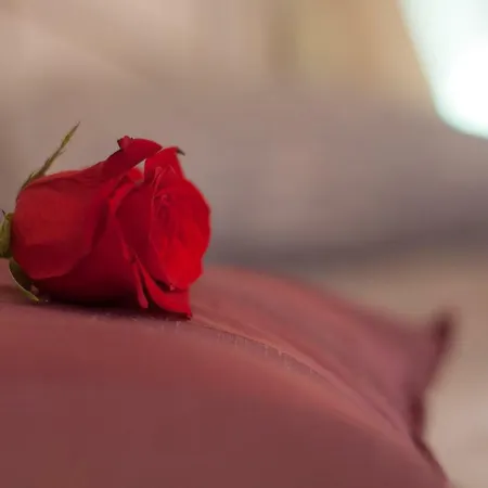 Sveta Jelena Daire Mošćenička Draga